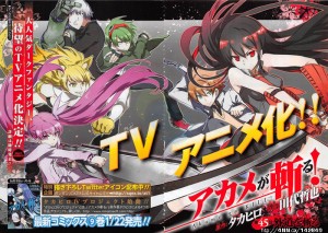 Ini Dia Jajaran Lengkap Seiyuu Akame Ga Kill!