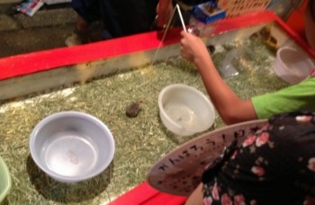 Kios 'Memancing Hamster' di Festival Musim Panas Osaka Menuai Kontroversi dan Kecaman