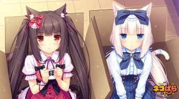 Visual Novel Dari Maskot Sayori Neko Works, “Nekopara” Versi Bahasa Inggris Siap Muncul Di Steam