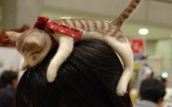 Bando Nekomimi Kelewat Mainstream? Gunakan Bando Kucing Ini!