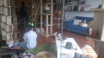 [Review] The Cat Cabin