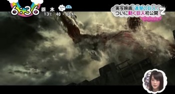 Program TV Jepang 
