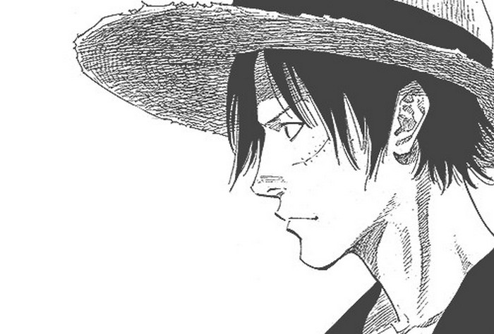 Saatnya Festival Luffy! Inilah 10 Luffy Yang Digambar Oleh 10 Mangaka Lain