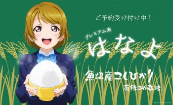 Akhirnya Terwujud! Beras Premium Dewi Beras 'Hanayo' Dijual!