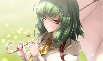 [Waifu Wednesday] Kazami Yuuka