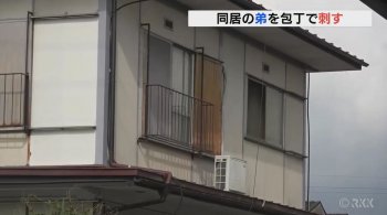 Suara Game Berisik, Kakak Bacok Adik Sendiri di Prefektur Kumamoto